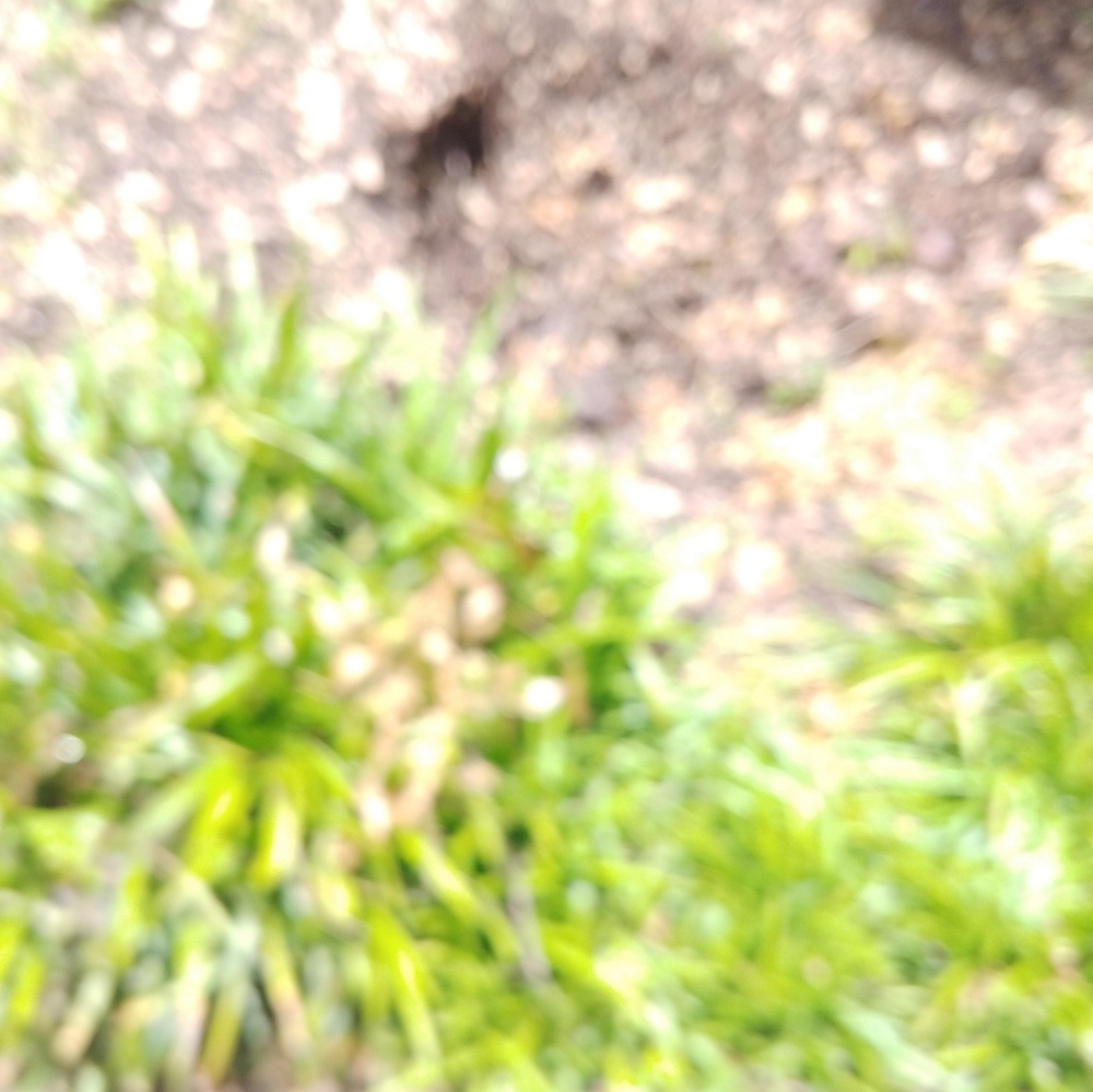 Meet your Posher, Cory